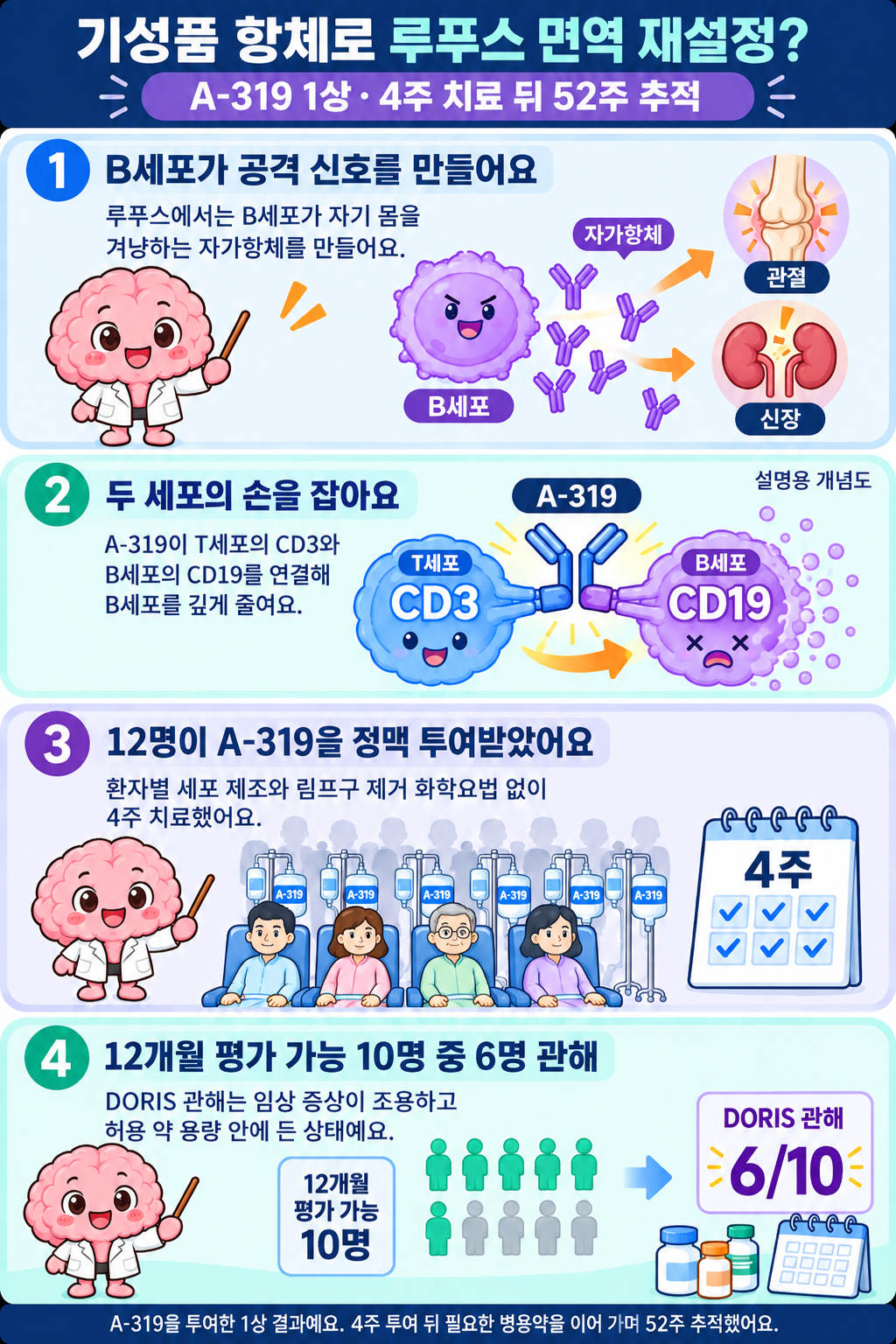 루푸스에서 B세포가 자기 몸을 공격하는 항체를 만들고, A-319이 T세포와 B세포를 연결해 B세포를 줄이며, 12개월 평가 10명 중 6명이 DORIS 관해에 도달한 초기 결과를 Brain이 설명해요.