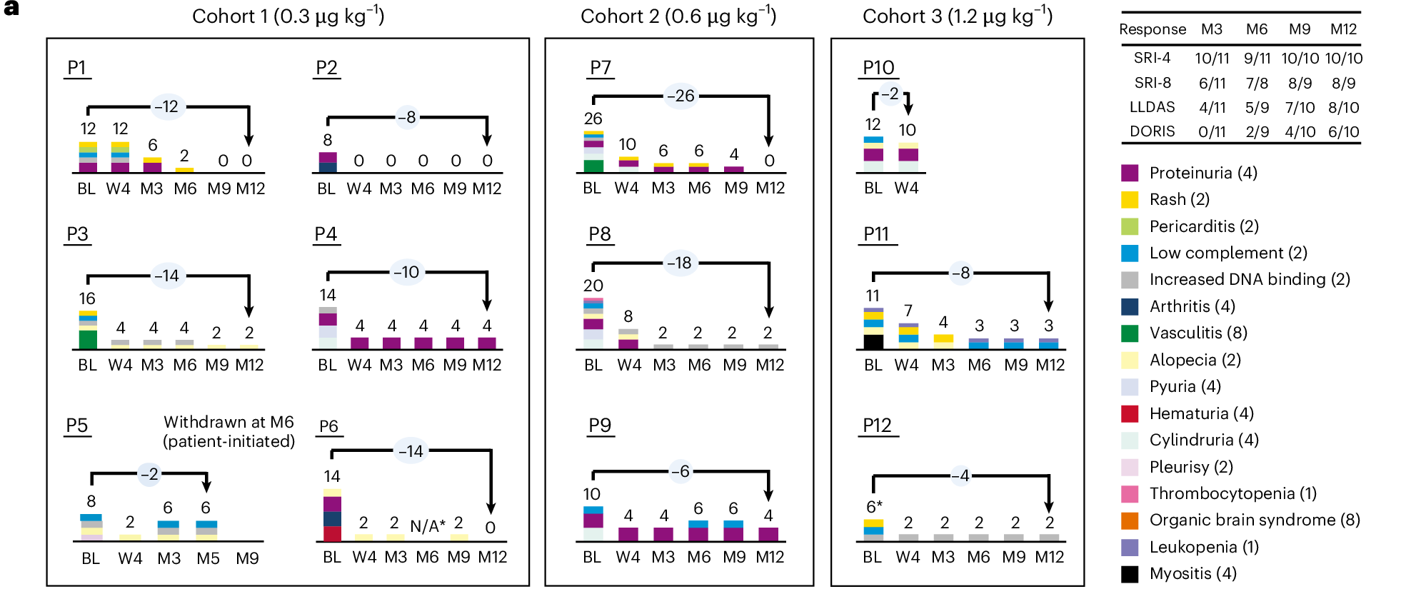 논문 Figure 3a 확대예요. 환자 P1부터 P12까지 기준 시점과 4주, 3·6·9·12개월의 질병활성 점수가 색 막대로 표시돼요. 오른쪽 표는 12개월에 SRI-4 10/10, LLDAS 8/10, DORIS 6/10을 보여 줘요.