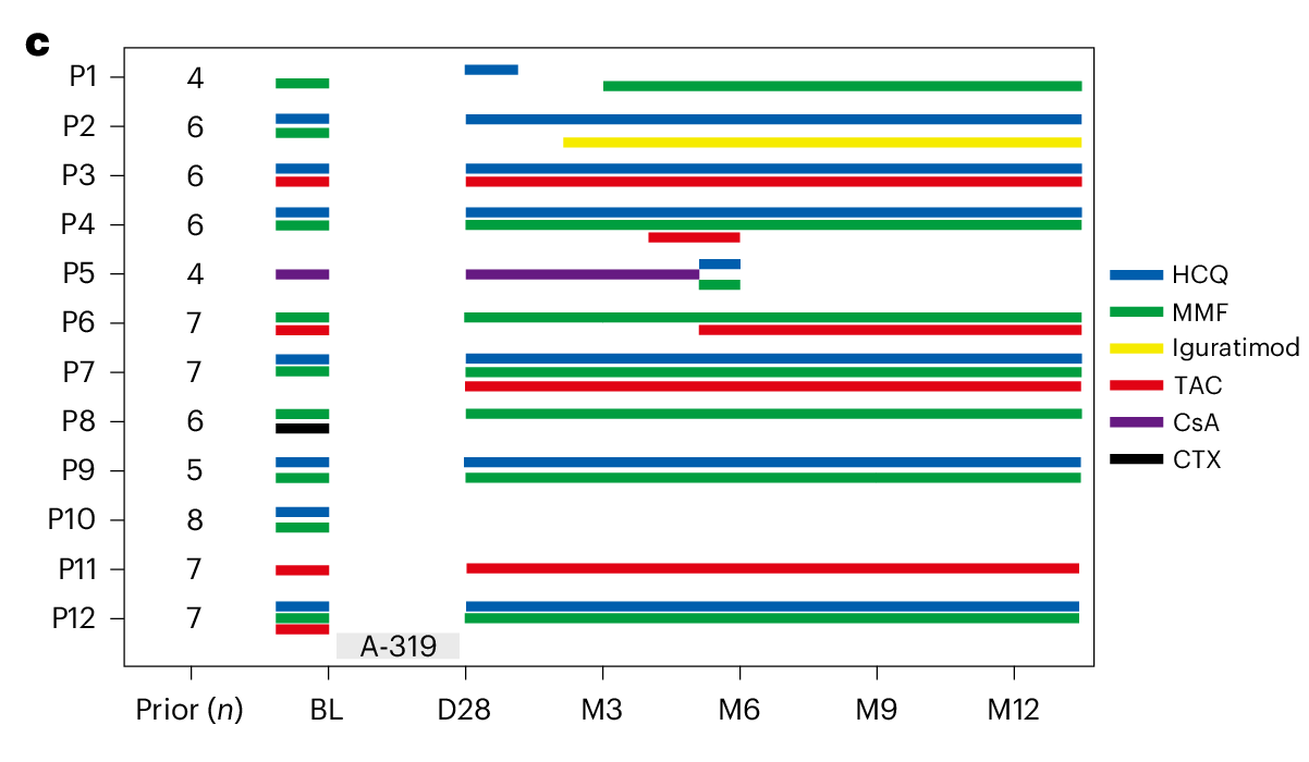 논문 Figure 3c의 병용약 일정표 전체예요. 환자 P1부터 P12까지 Prior, BL, D28, 3·6·9·12개월 축이 보이고, A-319 투여 전후 hydroxychloroquine, mycophenolate mofetil, iguratimod, tacrolimus, cyclosporine A, cyclophosphamide 사용 기간이 색 가로선으로 표시돼요.