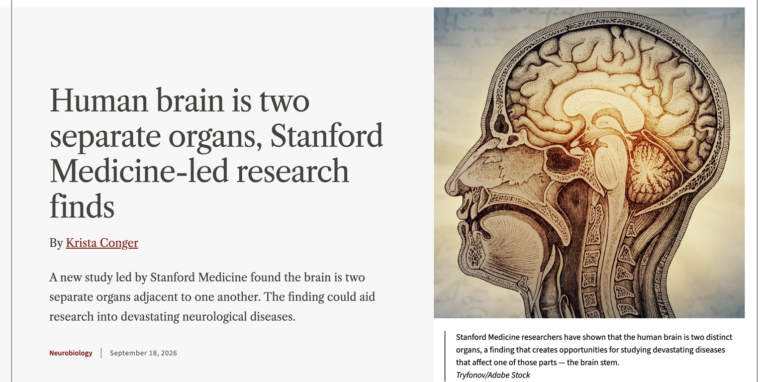 Stanford Medicine 발표의 영어 제목과 머리의 옆 단면 그림이 나란히 배치되어 있습니다.