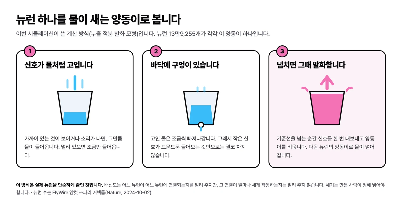 세 칸으로 나눈 설명 그림. 첫째 칸은 양동이에 물이 들어오는 그림, 둘째 칸은 바닥 구멍으로 물이 빠지는 그림, 셋째 칸은 물이 넘치며 화살표가 위로 뻗는 그림이다