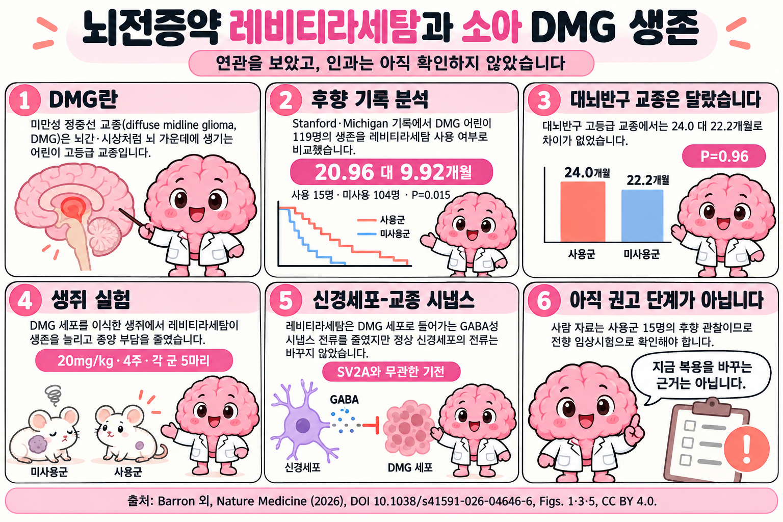 Brain 박사가 여섯 컷으로 설명하는 학습만화입니다. 1컷은 DMG가 뇌간·시상처럼 뇌 가운데에 생기는 어린이 고등급 교종이라고 소개합니다. 2컷은 Stanford·Michigan 기록의 DMG 어린이 119명에서 레비티라세탐 사용 15명과 미사용 104명의 중앙 생존이 20.96 대 9.92개월(P=0.015)이었다고 생존곡선 도식으로 보여 줍니다. 3컷은 대뇌반구 고등급 교종에서는 24.0 대 22.2개월로 차이가 없었다(P=0.96)고 막대로 비교합니다. 4컷은 DMG 세포를 이식한 생쥐에서 레비티라세탐 20mg/kg 4주 투여가 생존을 늘리고 종양 부담을 줄였다(각 군 5마리)고 설명합니다. 5컷은 레비티라세탐이 DMG 세포로 들어가는 GABA성 시냅스 전류를 줄였지만 정상 신경세포 전류는 바꾸지 않았고 SV2A와 무관한 기전이라고 말합니다. 6컷은 사람 자료가 사용군 15명의 후향 관찰이므로 전향 임상시험이 필요하며 지금 복용을 바꾸는 근거가 아니라고 정리합니다.