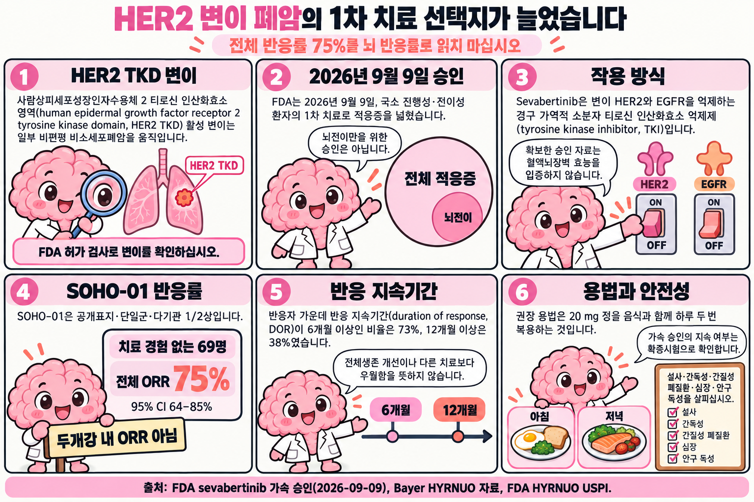 Brain 박사가 여섯 컷으로 설명하는 학습만화입니다. 1컷은 HER2 TKD 활성 변이가 일부 비편평 비소세포폐암을 움직이며 FDA 허가 검사로 변이를 확인하라고 안내합니다. 2컷은 FDA가 2026년 9월 9일 국소 진행성·전이성 환자의 1차 치료로 적응증을 넓혔다고 설명하고, ‘전체 적응증’ 큰 원 안의 ‘뇌전이’ 작은 원으로 뇌전이만을 위한 승인이 아님을 보여 줍니다. 3컷은 sevabertinib이 변이 HER2와 EGFR을 억제하는 경구 가역적 소분자 TKI이며 확보한 승인 자료가 혈액뇌장벽 효능을 입증하지 않는다고 설명합니다. 4컷은 SOHO-01 단일군 1/2상에서 치료 경험 없는 69명의 전체 ORR이 75%, 95% CI 64–85%이며 두개강 내 ORR이 아니라고 표시합니다. 5컷은 반응 지속기간 6개월 이상 73%, 12개월 이상 38%를 보여 주고 전체생존 개선이나 우월성을 뜻하지 않는다고 말합니다. 6컷은 20 mg 정을 음식과 함께 하루 두 번 복용하고 설사·간독성·간질성 폐질환·심장·안구 독성을 살피며, 가속 승인의 지속 여부는 확증시험으로 확인한다고 정리합니다.