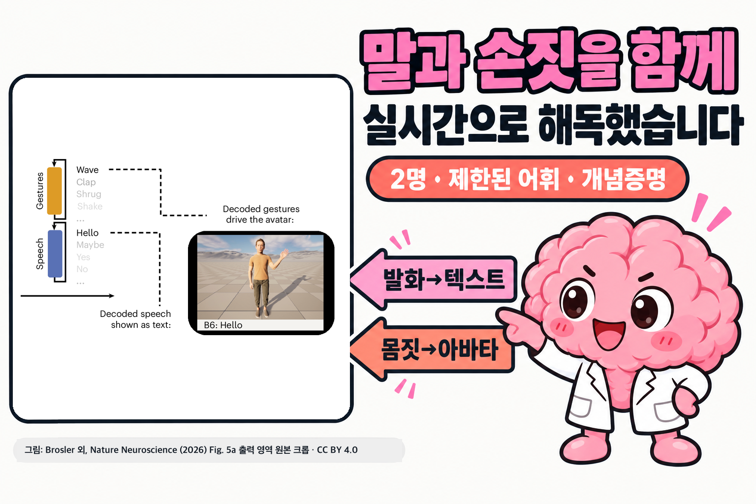 Brosler 외 논문 Figure 5a의 출력 영역 원본(몸짓·발화 분류 목록과 손을 흔드는 전신 아바타, ‘B6: Hello’ 텍스트) 옆에서 Brain 박사가 ‘발화→텍스트’, ‘몸짓→아바타’ 화살표를 가리키며, ‘말과 손짓을 함께 실시간으로 해독했습니다’와 ‘2명 · 제한된 어휘 · 개념증명’ 문구가 적힌 표지